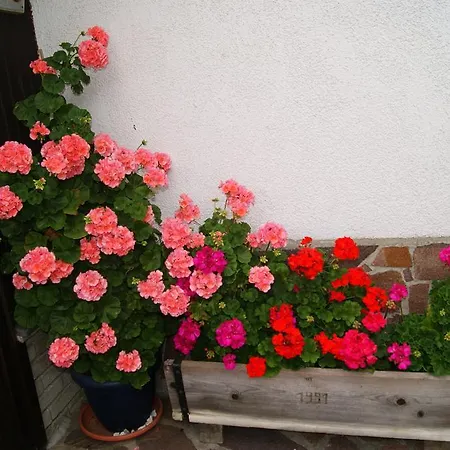 Apartment Eller *